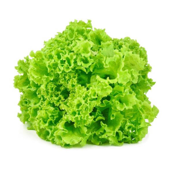 Alface Crespa