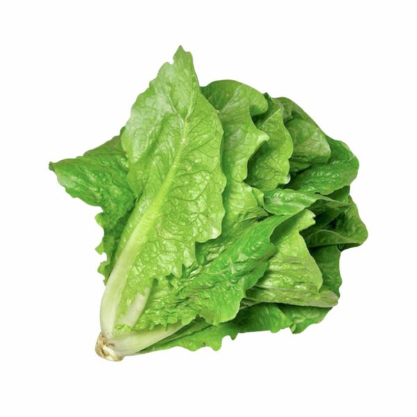 Almeirão